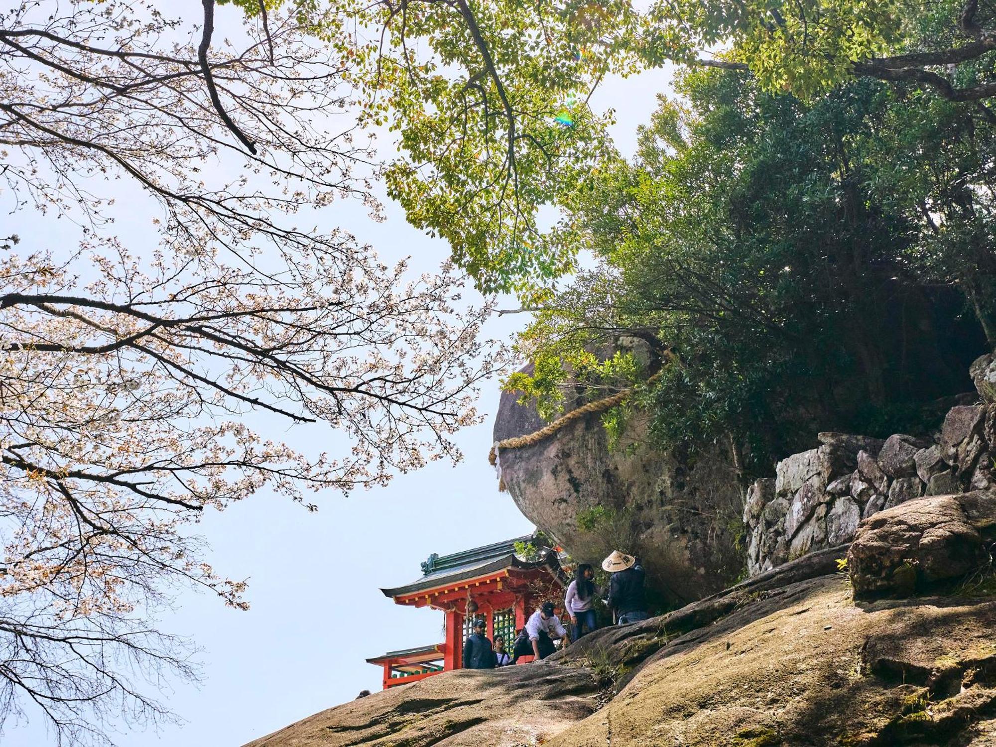 Kokoyui Guesthouse Шингу Экстерьер фото